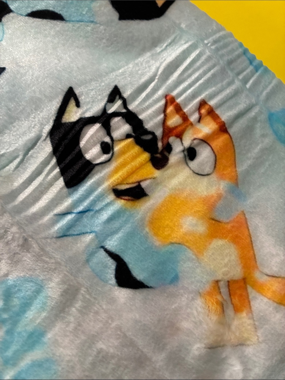 Blankets for Kids (NWOT) - Picture 11 of 12
